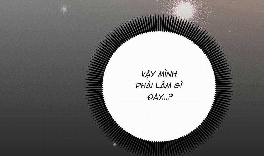 Những Chú Thỏ Của Hapypy 44 trang 129