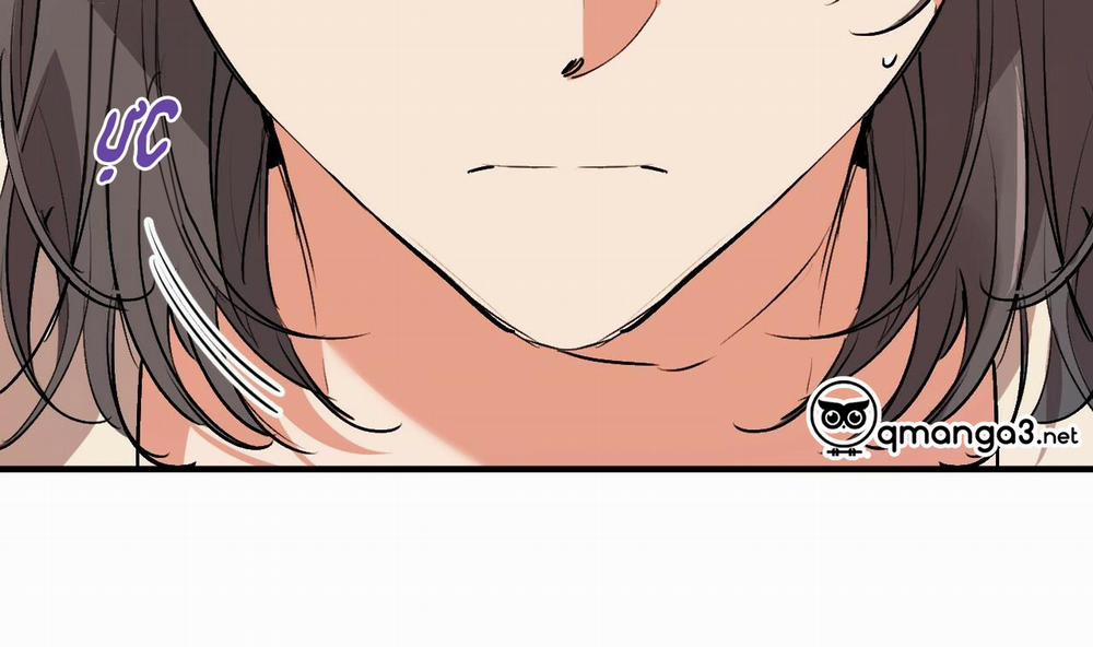 Những Chú Thỏ Của Hapypy 44 trang 151