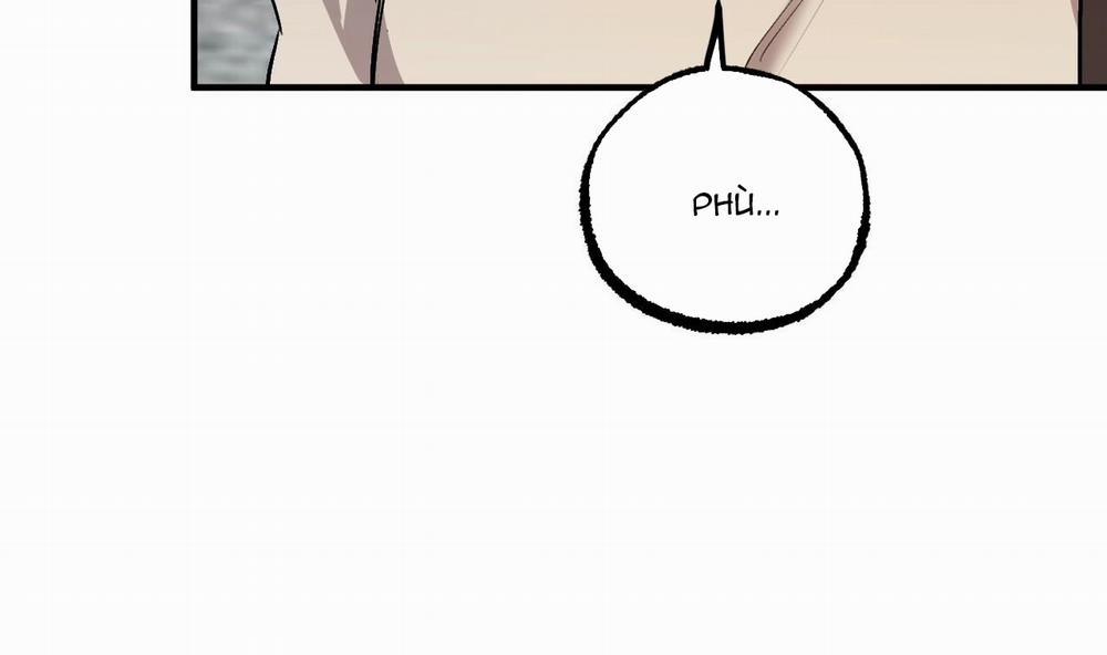 Những Chú Thỏ Của Hapypy 44 trang 154