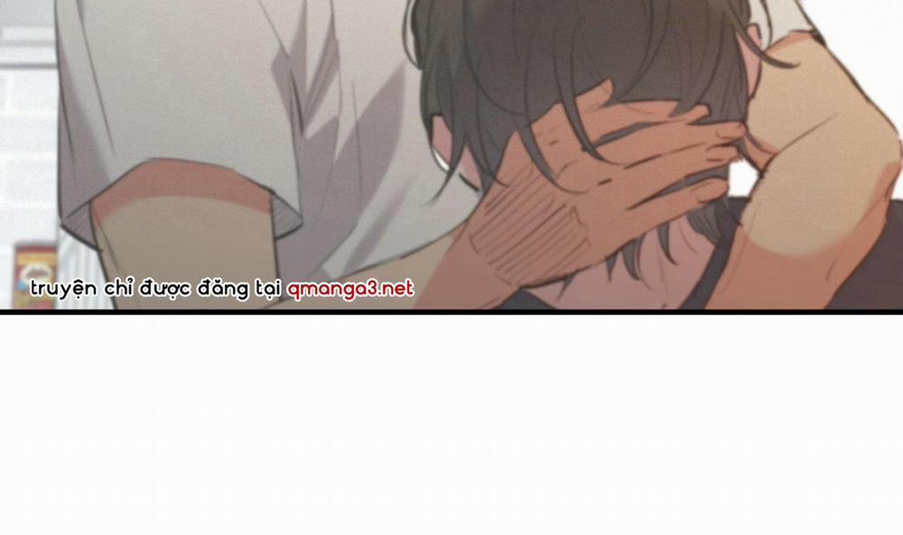 Những Chú Thỏ Của Hapypy 44 trang 161