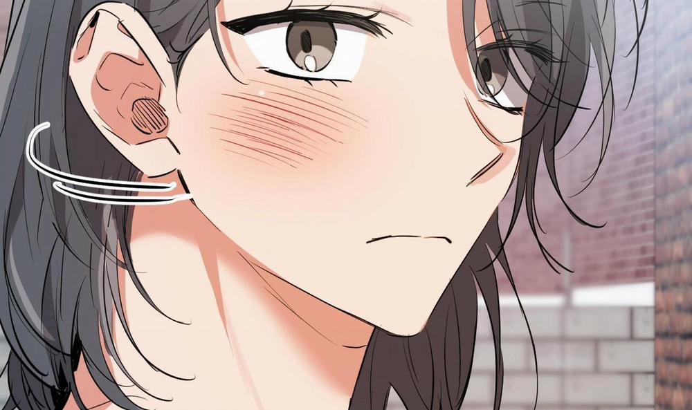 Những Chú Thỏ Của Hapypy 44 trang 171