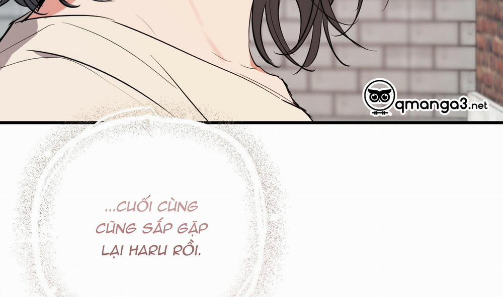 Những Chú Thỏ Của Hapypy 44 trang 172