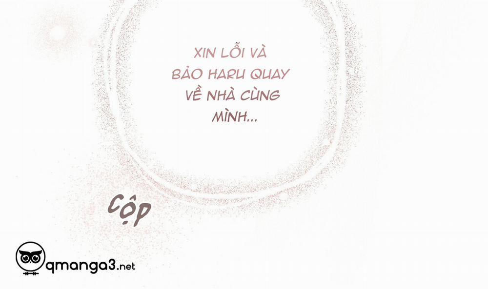 Những Chú Thỏ Của Hapypy 44 trang 177