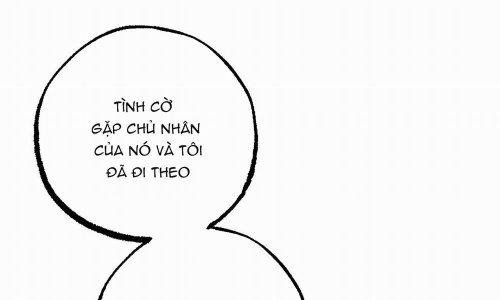 Những Chú Thỏ Của Hapypy 44 trang 201