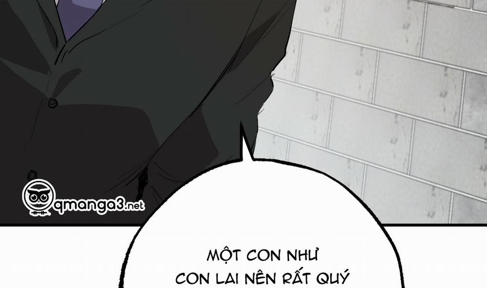 Những Chú Thỏ Của Hapypy 44 trang 211