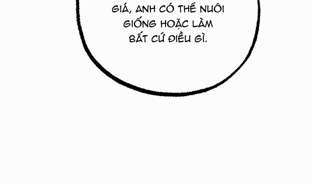 Những Chú Thỏ Của Hapypy 44 trang 212