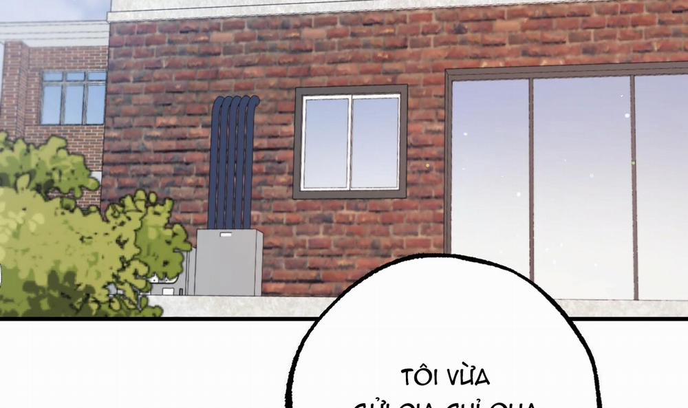 Những Chú Thỏ Của Hapypy 44 trang 215