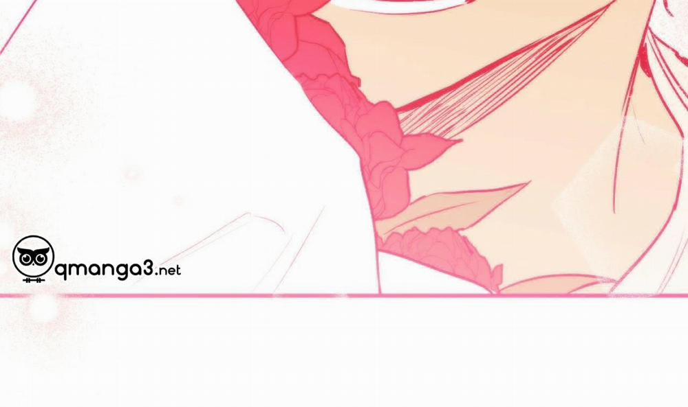 Những Chú Thỏ Của Hapypy 44 trang 238