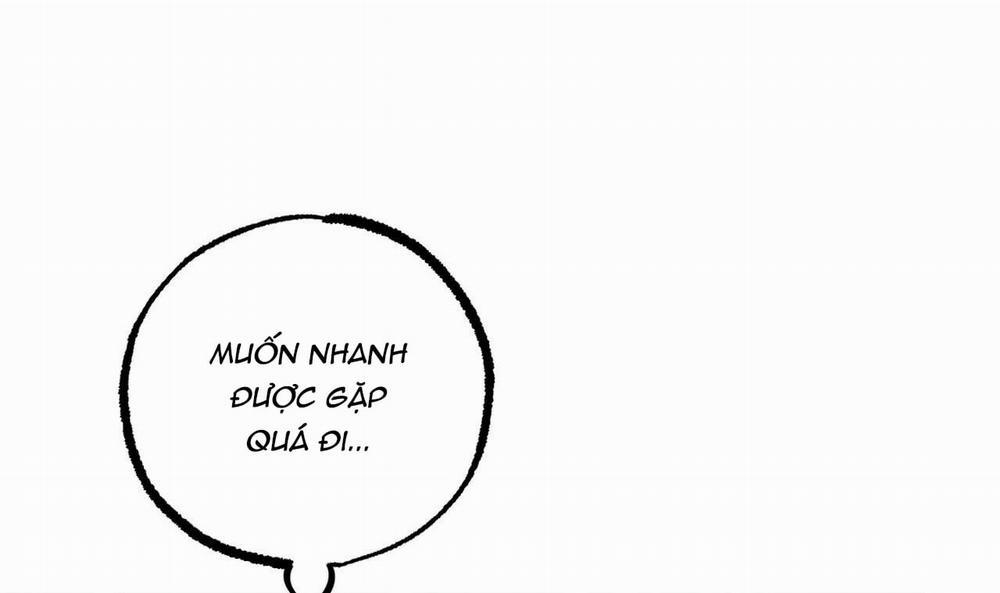 Những Chú Thỏ Của Hapypy 44 trang 240