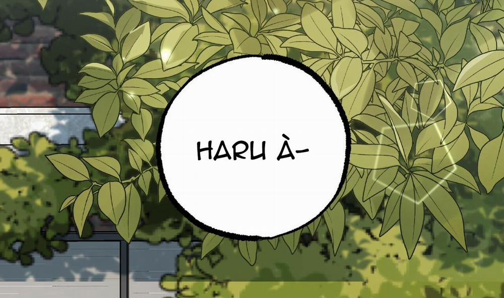 Những Chú Thỏ Của Hapypy 44 trang 247