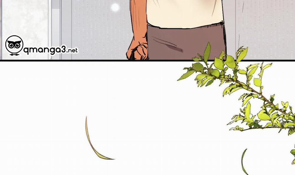 Những Chú Thỏ Của Hapypy 44 trang 250