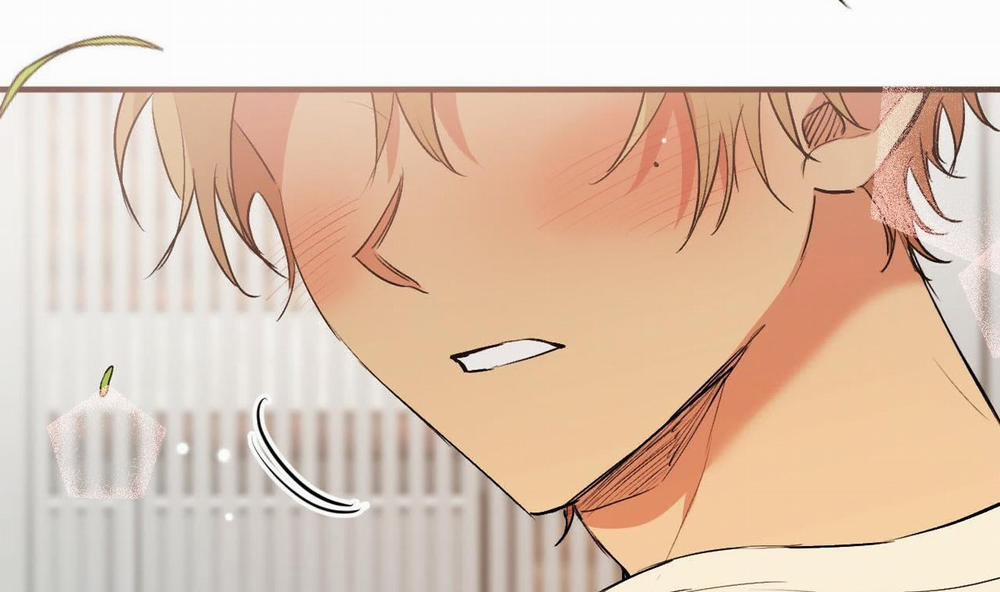 Những Chú Thỏ Của Hapypy 44 trang 251