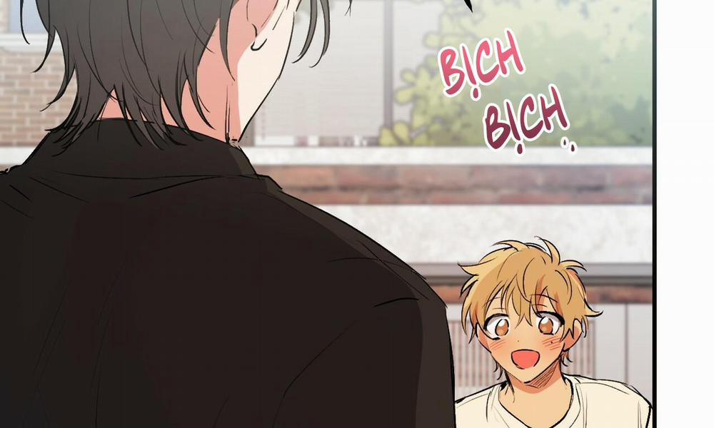 Những Chú Thỏ Của Hapypy 44 trang 258