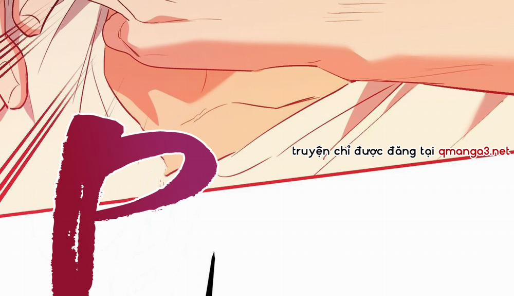 Những Chú Thỏ Của Hapypy 44 trang 281