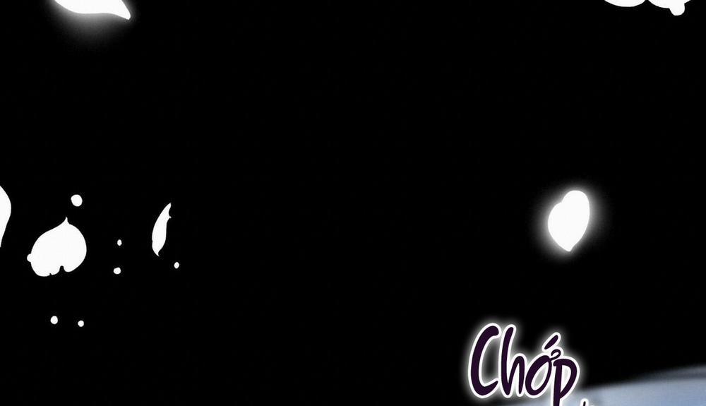 Những Chú Thỏ Của Hapypy 44 trang 287