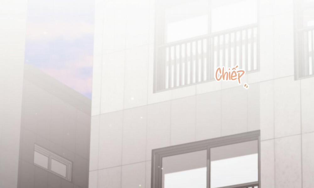 Những Chú Thỏ Của Hapypy 44 trang 3