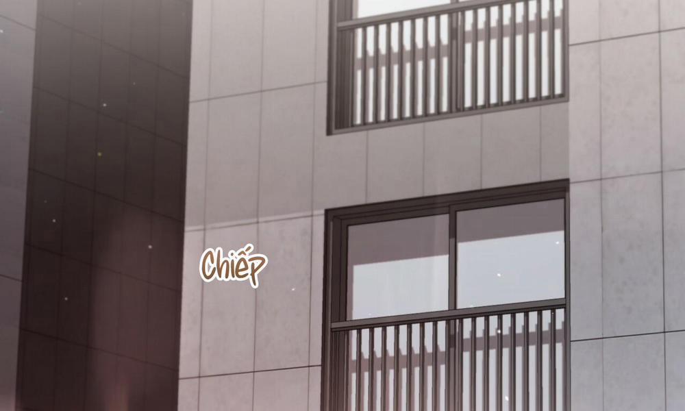 Những Chú Thỏ Của Hapypy 44 trang 4