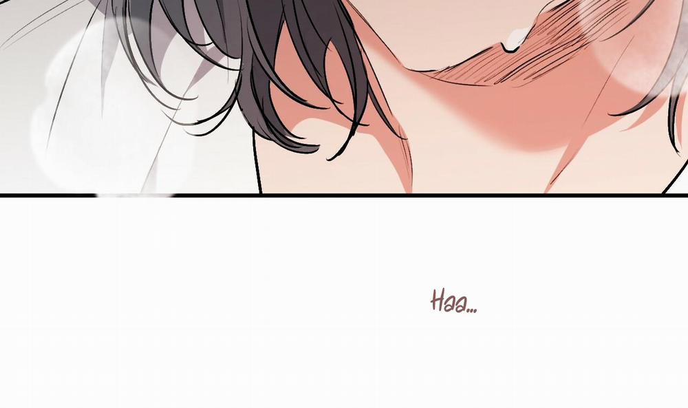 Những Chú Thỏ Của Hapypy 44 trang 71