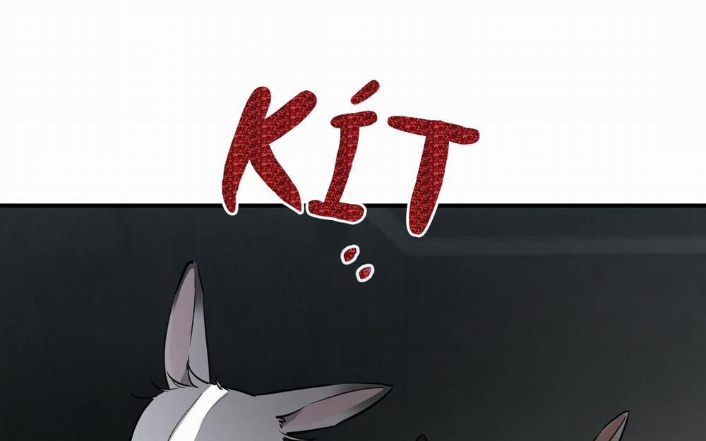 Những Chú Thỏ Của Hapypy 46 trang 113