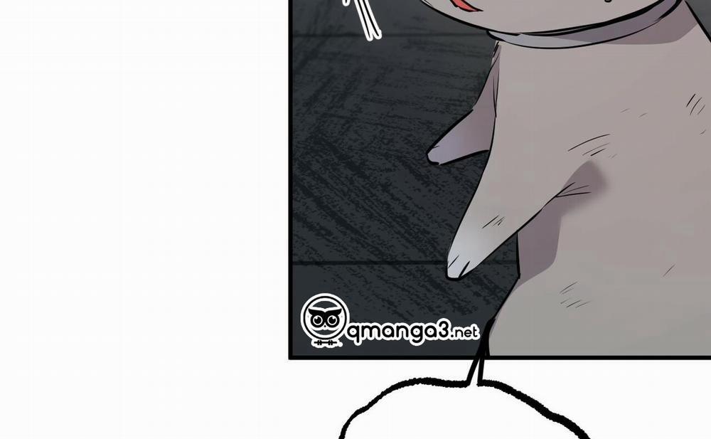 Những Chú Thỏ Của Hapypy 46 trang 145