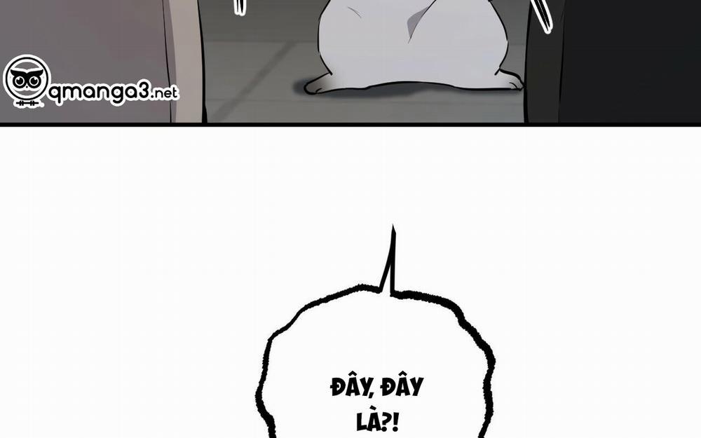 Những Chú Thỏ Của Hapypy 46 trang 15