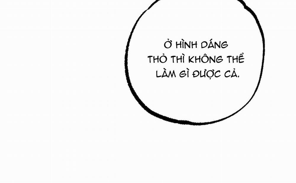 Những Chú Thỏ Của Hapypy 46 trang 150