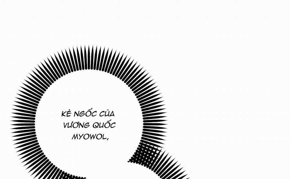 Những Chú Thỏ Của Hapypy 46 trang 163