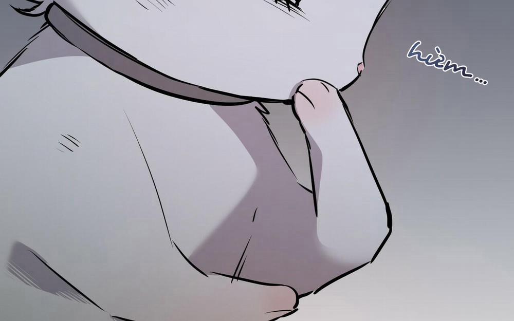 Những Chú Thỏ Của Hapypy 46 trang 171