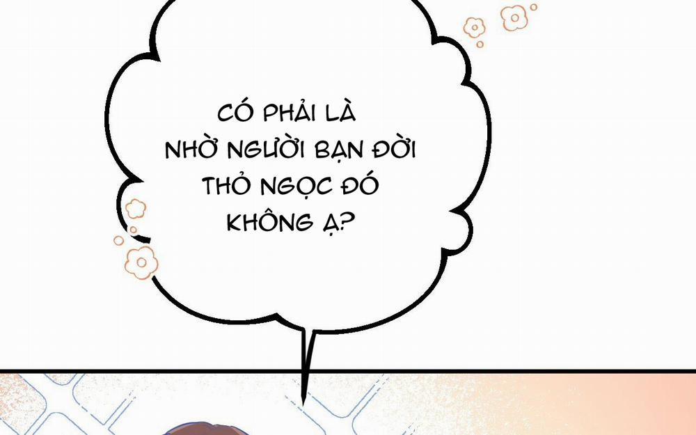 Những Chú Thỏ Của Hapypy 46 trang 177