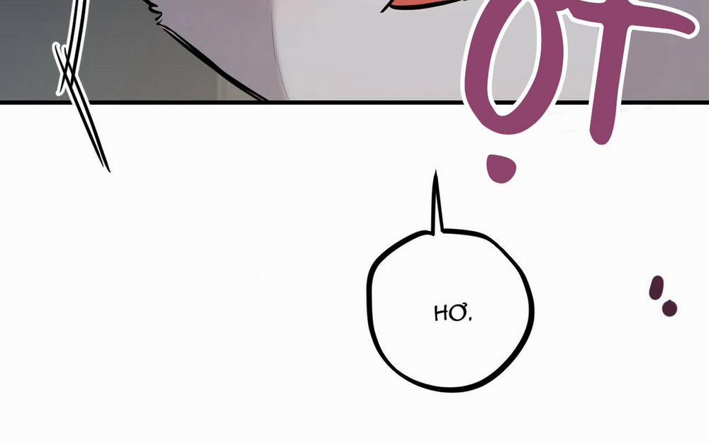 Những Chú Thỏ Của Hapypy 46 trang 19