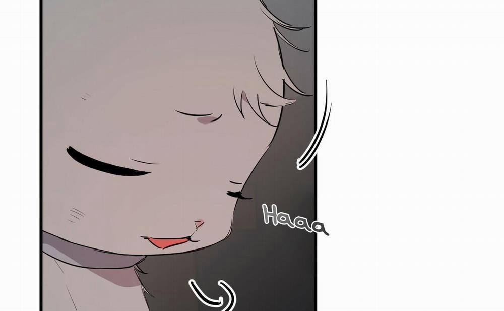 Những Chú Thỏ Của Hapypy 46 trang 198