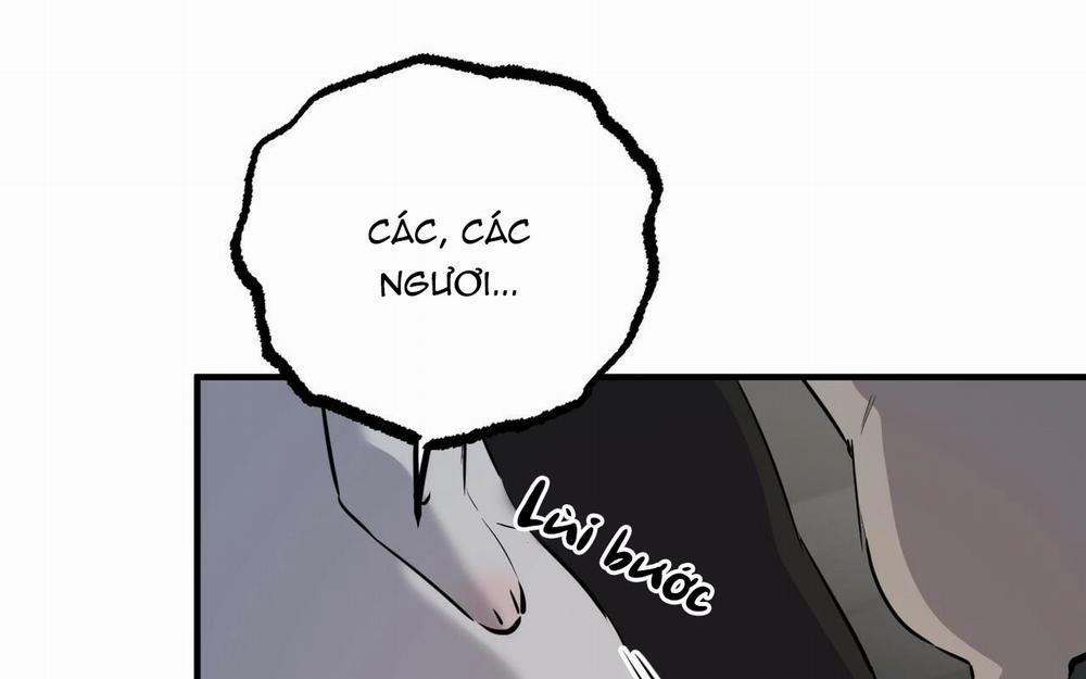 Những Chú Thỏ Của Hapypy 46 trang 21