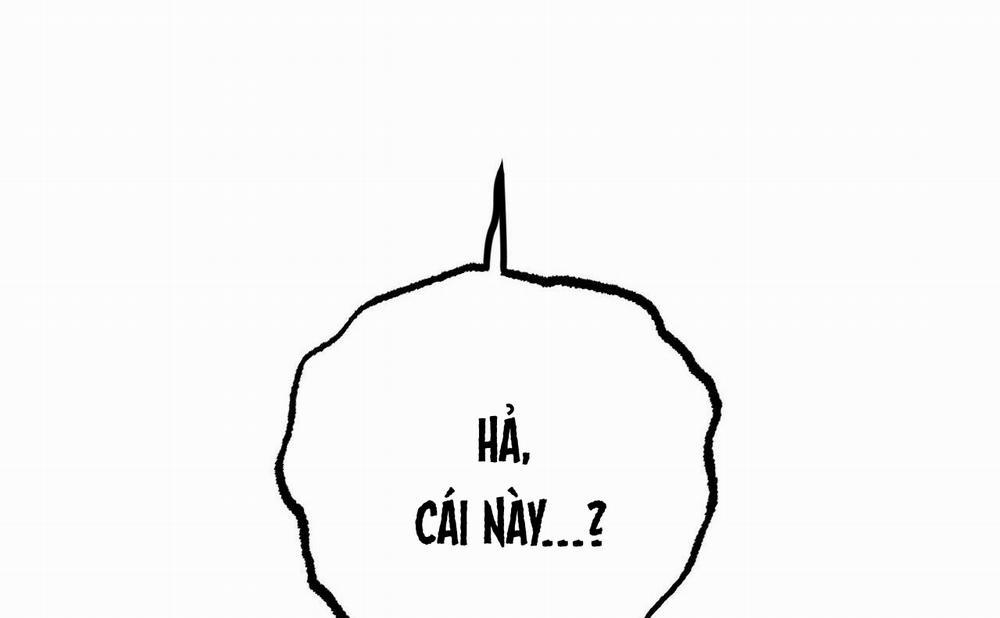 Những Chú Thỏ Của Hapypy 46 trang 210