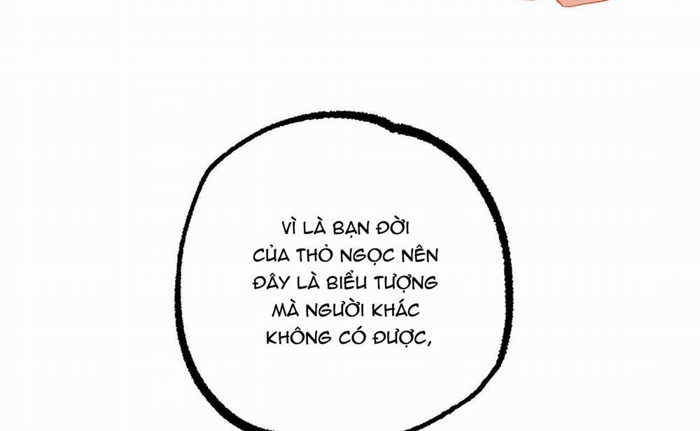 Những Chú Thỏ Của Hapypy 46 trang 221