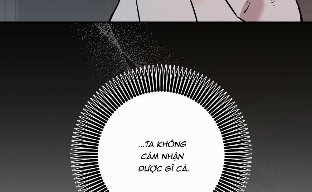 Những Chú Thỏ Của Hapypy 46 trang 238