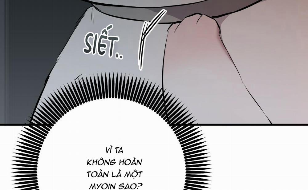 Những Chú Thỏ Của Hapypy 46 trang 242