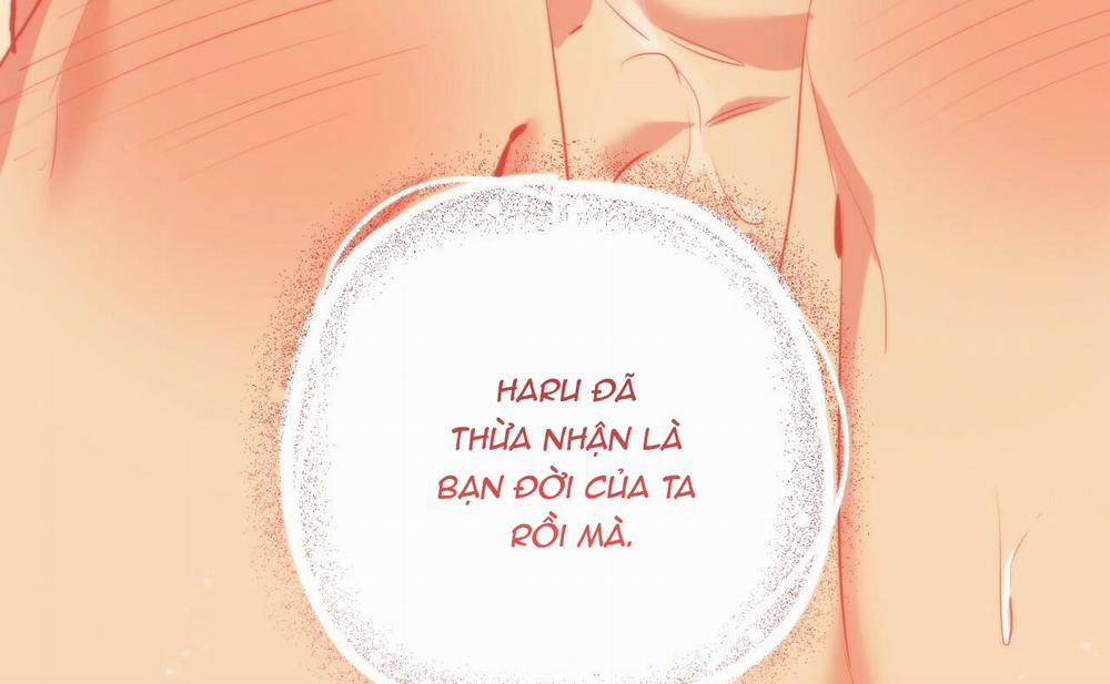 Những Chú Thỏ Của Hapypy 46 trang 251