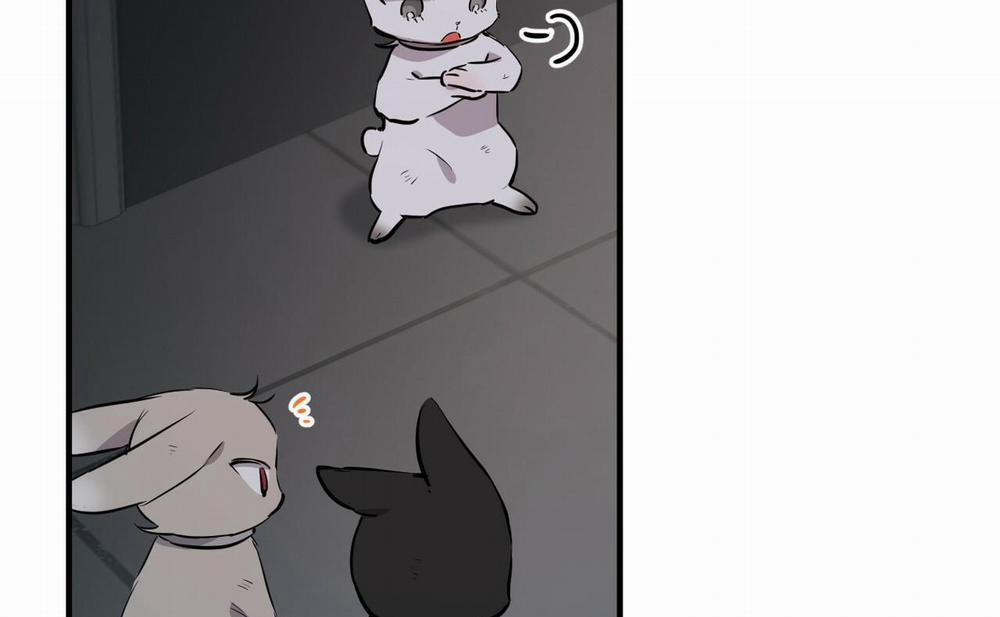 Những Chú Thỏ Của Hapypy 46 trang 265