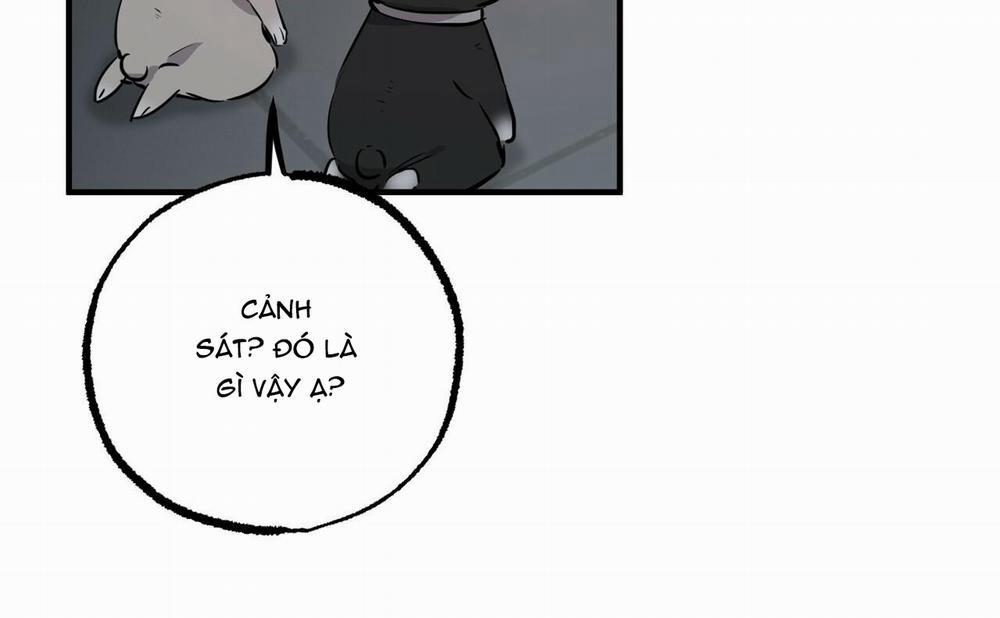 Những Chú Thỏ Của Hapypy 46 trang 266