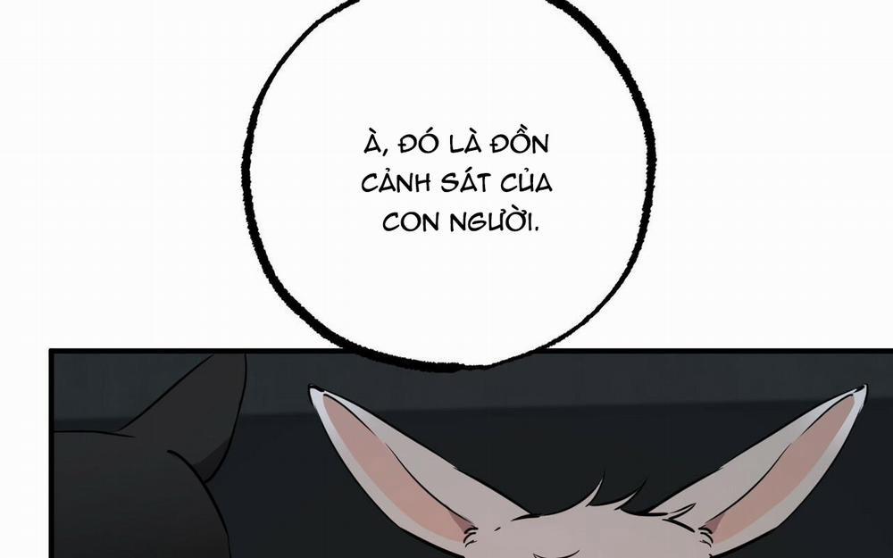 Những Chú Thỏ Của Hapypy 46 trang 268