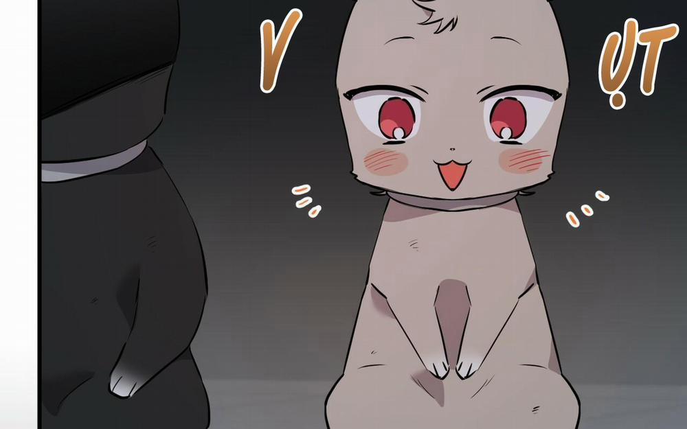 Những Chú Thỏ Của Hapypy 46 trang 269