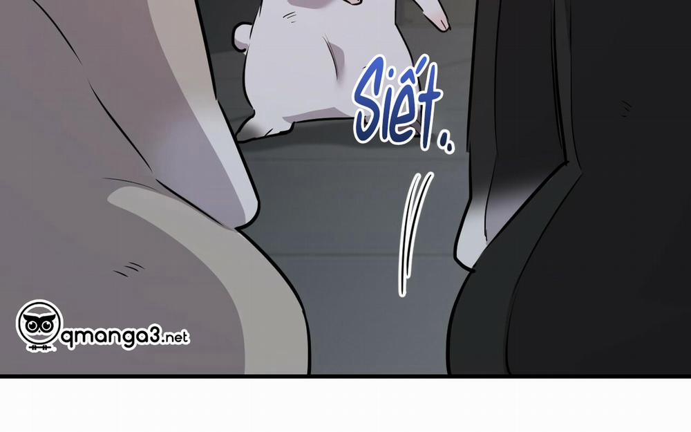 Những Chú Thỏ Của Hapypy 46 trang 274