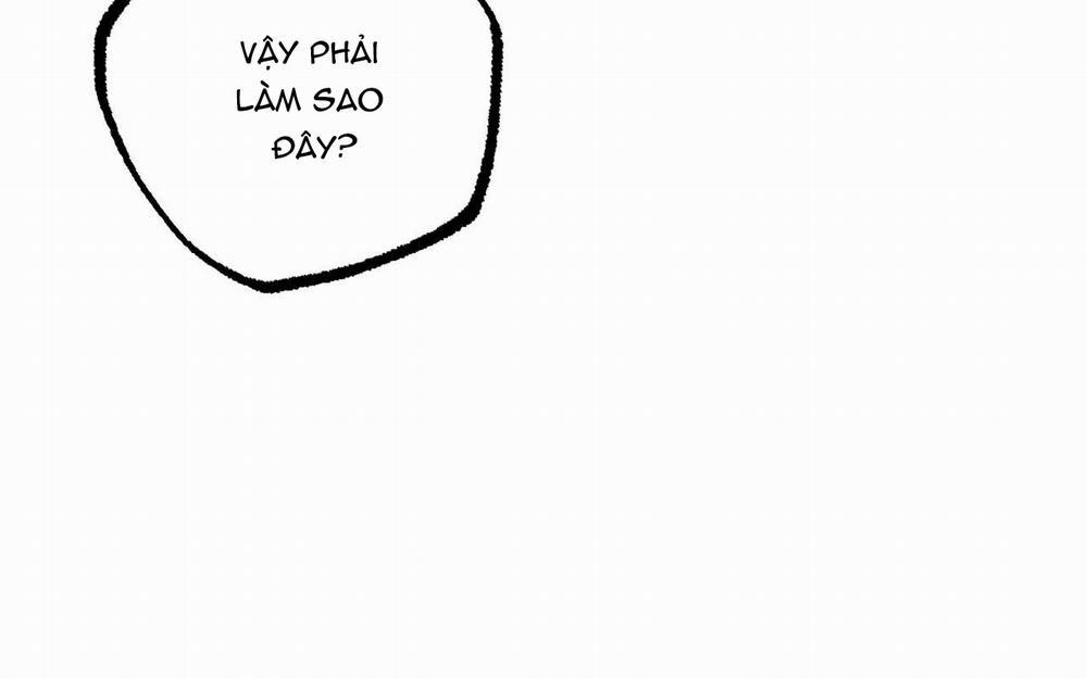 Những Chú Thỏ Của Hapypy 46 trang 283