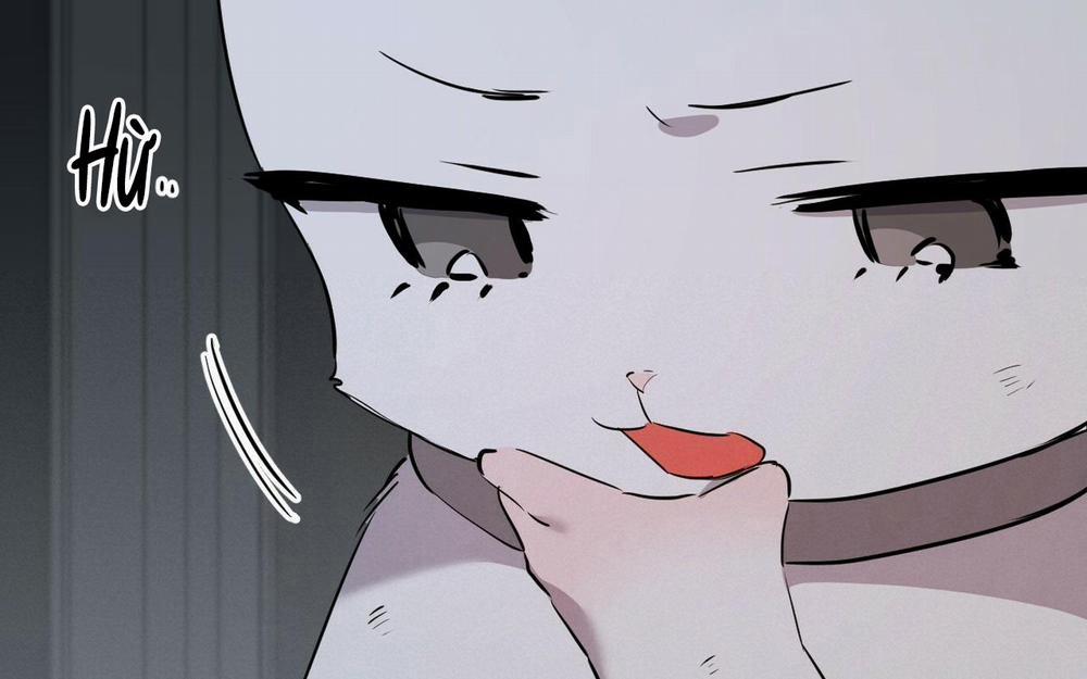 Những Chú Thỏ Của Hapypy 46 trang 289