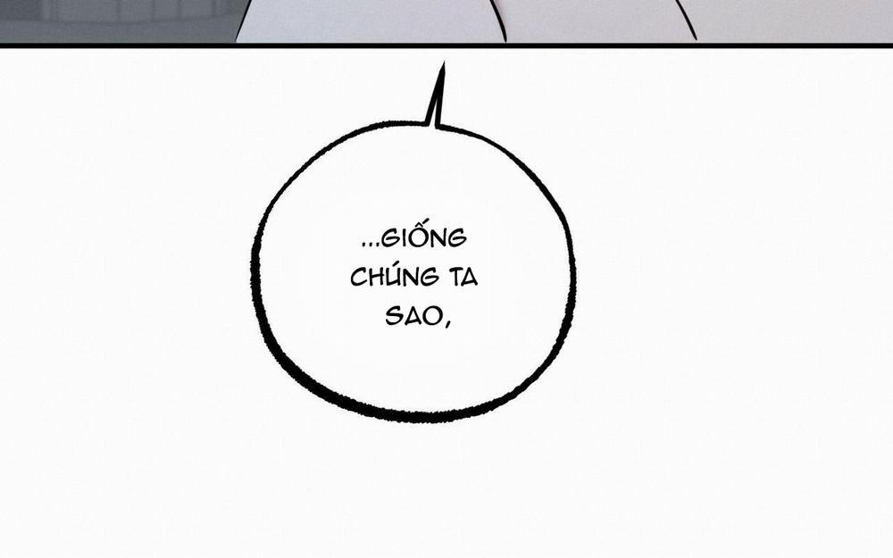 Những Chú Thỏ Của Hapypy 46 trang 290