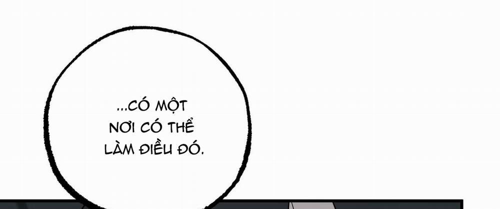 Những Chú Thỏ Của Hapypy 46 trang 296