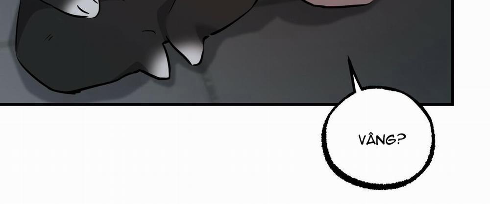 Những Chú Thỏ Của Hapypy 46 trang 299