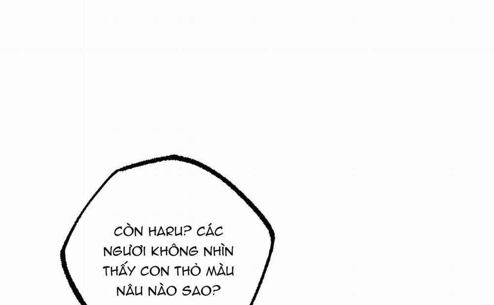 Những Chú Thỏ Của Hapypy 46 trang 43