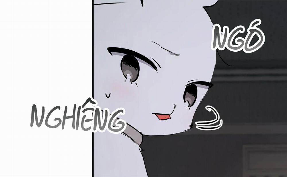 Những Chú Thỏ Của Hapypy 46 trang 45