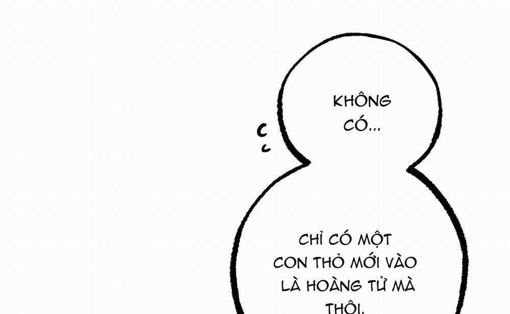 Những Chú Thỏ Của Hapypy 46 trang 48